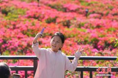 广西南宁青秀山百花齐放